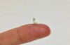 【蜗牛娱乐】5mm黏土模型 特色迷你黏土模型堪称神作