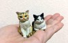 【蜗牛娱乐】模型师与奇谭合作猫雕刻扭蛋 高级质感扭蛋很可爱