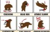 【蜗牛娱乐】搞笑漫画图片单挑熊反被杀 单挑熊N种死法不作死就不会死