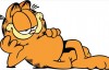 【蜗牛娱乐】《加菲猫》将拍全新动画电影 世界上最红胖橘猫要回归发
