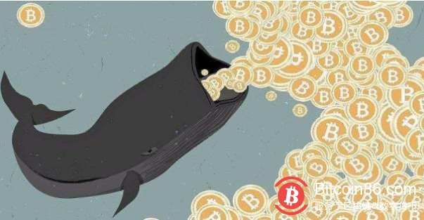 比特币巨鲸觉醒：这对于比特币价格来说意味着什么？