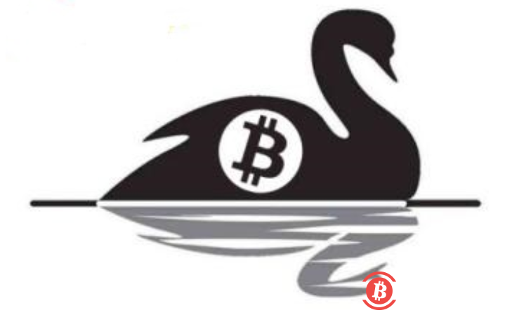 加密货币市场存在的“黑天鹅”风险