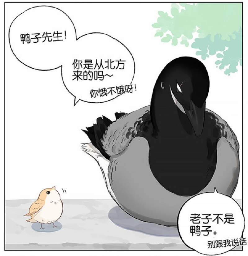 阿闷 aman 最新漫画《南方的鸟和北方的鸟》 黑雁被当鸭子“霸道总裁”十足