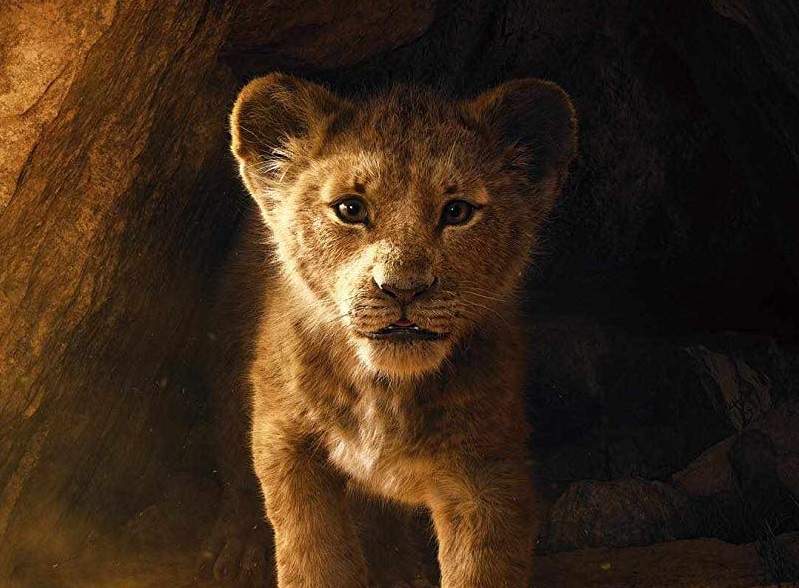 真人版《狮子王》预告片重现原版画面 导演温子仁回应为叫“真人版”