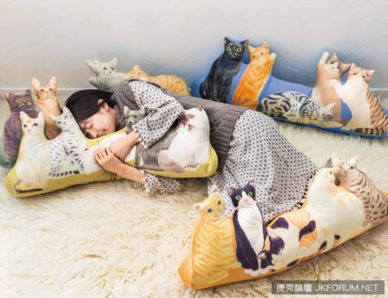 【蜗牛娱乐】『圍繞貓抱枕』讓你體驗被貓咪簇擁的感覺