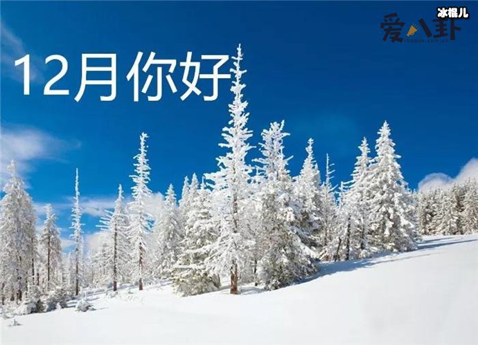 12 月你好的句子, 十二月问候图片带文字