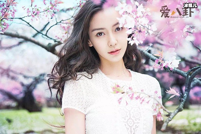 baby 为什么叫天宝？起底 angelababy 天宝称呼的由来