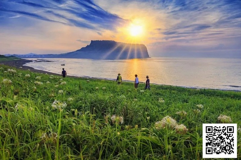 【EV 扑克】别 Till，来 Jeju Chill——必去景点+路线打包+管家制定