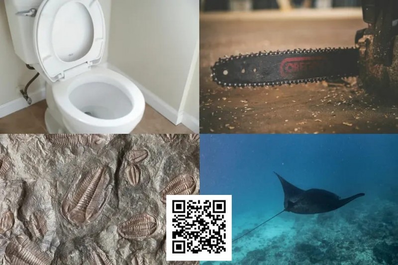 【EV 扑克】扑克界谁的绰号最炸裂：电锯、魔鬼鱼、石化人、马桶？