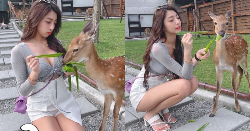 【蜗牛娱乐】動物農場驚見「爆乳美腿妹」甜餵小鹿斑比,超療癒畫面讓人瘋狂心動! 【蜗牛娱乐】動物農場驚見「爆乳美腿妹」甜餵小鹿斑比,超療癒畫面讓人瘋狂心動!