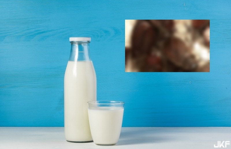 【蜗牛娱乐】超營養「蟑螂奶」!能量是牛奶3倍 你敢喝嗎? 【蜗牛娱乐】超營養「蟑螂奶」!能量是牛奶3倍 你敢喝嗎?