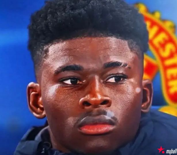 迈博体育 曼联认为巴莱巴已是囊中物！B费告知未来计划