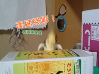 【蜗牛娱乐】狂!小玄鳳變搖~~滾~~鸚鵡,經典神曲無違和ROCK! 【蜗牛娱乐】狂!小玄鳳變搖~~滾~~鸚鵡,經典神曲無違和ROCK!